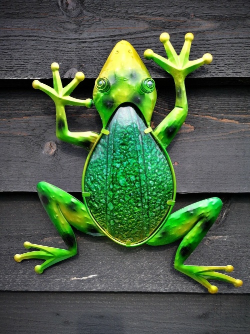 New Bright Vibrant Colour Metal Glass Frog/Toad Wall Art Decor Garden/Fence/Home