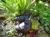 Set of 2 Blackbirds