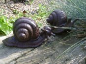 Cast Iron Snails