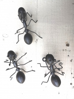 Set Of 3 Metal Fun Wall Mounted Black Ants Garden Home Fence Bugs Animals