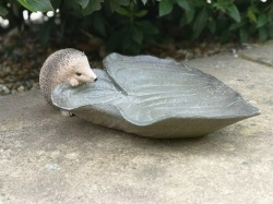 Cheeky Hedgehog Bird Leaf Feeder Garden Feature Ornament/Statue Resin